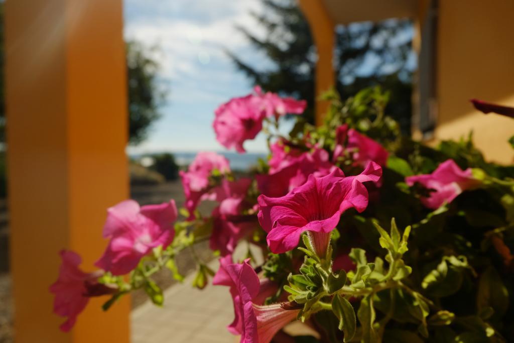 B&B Podere Ospedaletto Bolsena Exterior photo